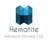 Hematite Infotech